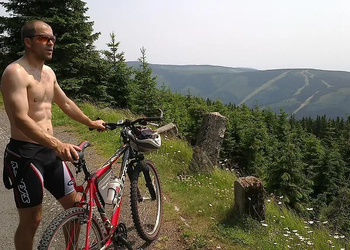 Privat Erlebach Lägenhet Rokytnice nad Jizerou